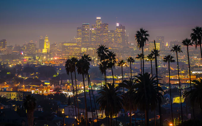 California Security Services